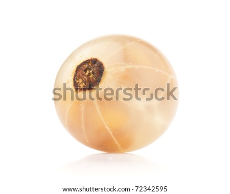 fresh ripe currant photographed closeup isolated on a white background.