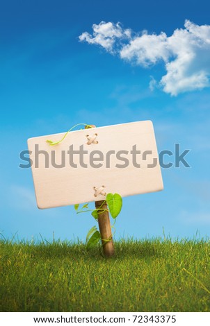 wooden sign on the center of a green land with a blue sky, with one cloud, vertical image