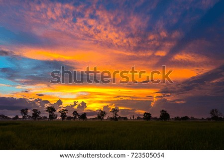 Colorful sky sunset with dark cloud.Abstract cloud sunlight background.