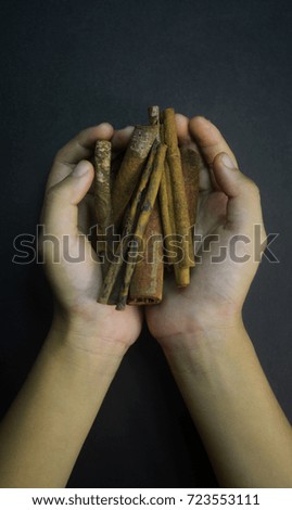 cinnamon stick at hands on dark background