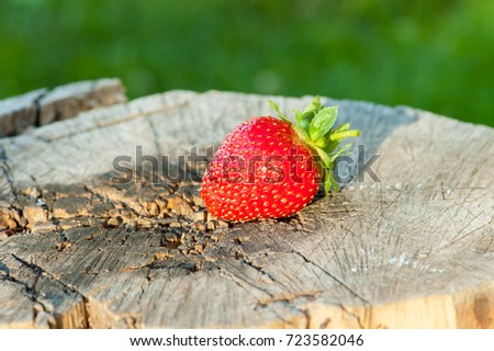Strawberry on an old stump on a background of bright green grass