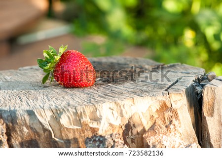 Strawberry on an old stump on a background of bright green grass