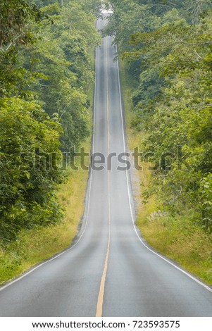 View of road in the forest, Thailand