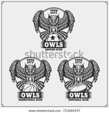 Baseball, soccer and football logos and labels. Sport club emblems with owl.
