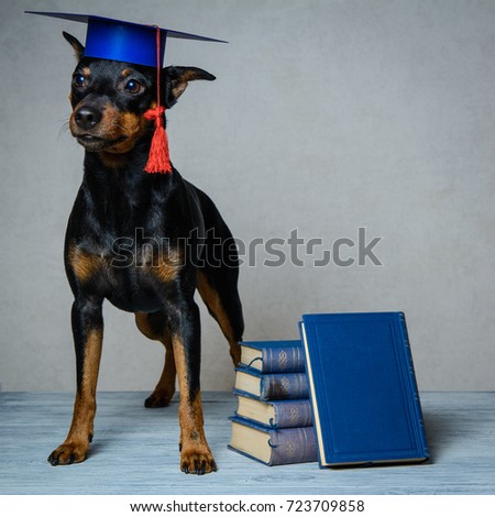 
clever dog with books