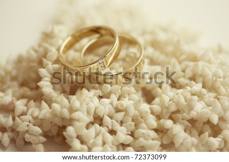 wedding rings adorned with precious stones to seashells