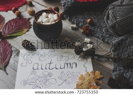 Cup of cocoa with marshmallow, homemade autumn postcard, fall leaves, pumpkin and nuts on rustic wooden background, cozy warm autumn picture, seasonal still life, selective focus, toned