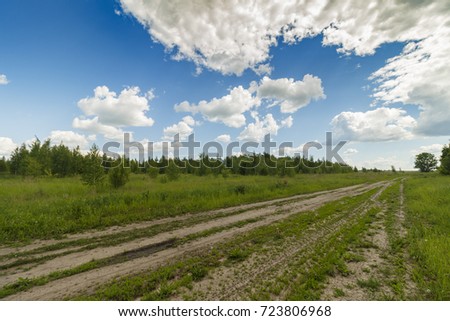 Republic of Mordoviya, Kovylkinskiy district, Road in field Royalty-Free Stock Photo #723806968