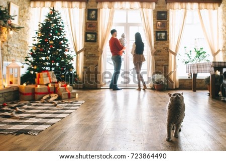 Young father and mother playing with son and cats in white loft