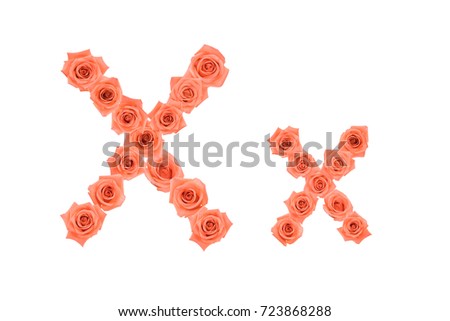 Letter X, alphabet made from orange roses isolated on white background