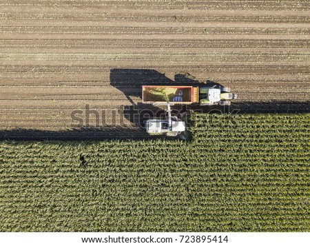 Machines harvesting corn in the field. Aerial drone shot.