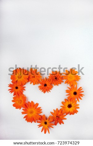 Orange Calendula flowers shot from above. Horizontal photo from high angle.  Flowers arranged in to form a heart at the bottom of vertical photo. Copy space in upper part of image. White background.