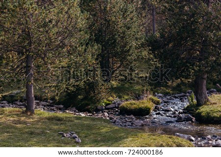 Mountain valley stream landscape with a river in Andorra, forest and rocks view. Selective focus and shallow DOF