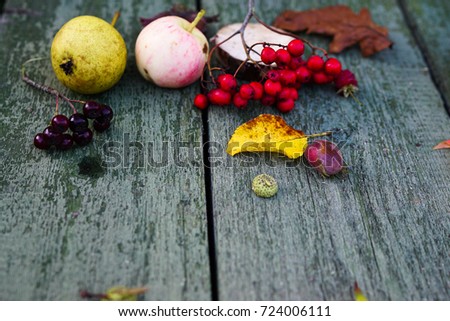 fruit leaves nuts  berries on wooden background autumn