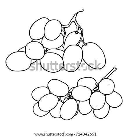 Outline illustration of grapes