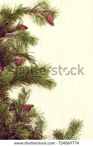 Decorated pine branches at left side with cones on white wooden table,  free space