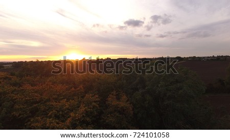 Sunset Over Canopy of Trees 
