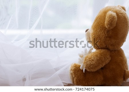 Very lonely bear is waiting for owner by the window side