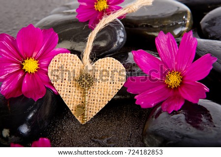 Pink Cosmos Flowers and burlap shape heart with brass key on  black massage rocks with water droplets on gray - grey slate background