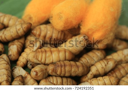 Silk : Close up stack of silkworm pupae pattern for background