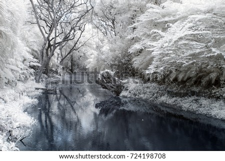 Near Infrared or IR photo panoramic view of outdoor public park