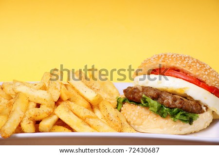 burger with fries