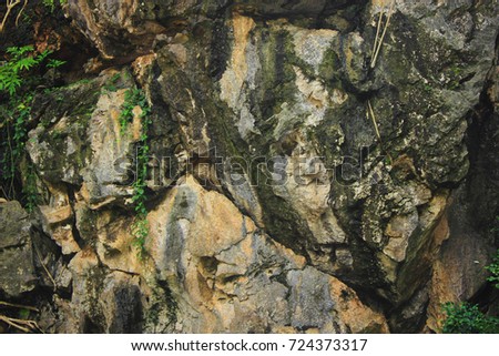 texture steep surface of the cliff of the karst rocks with rare tropical plants