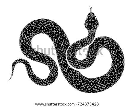 Snake outline illustration. Black serpent isolated on a white background. Vector tattoo design.