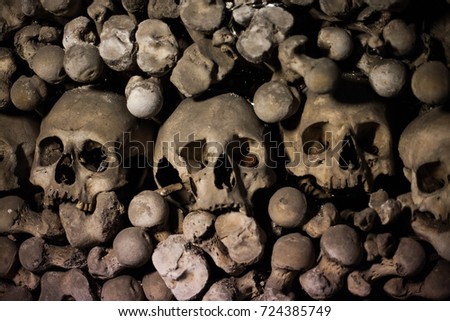 Skulls Embedded in Pile of Bones Looking up