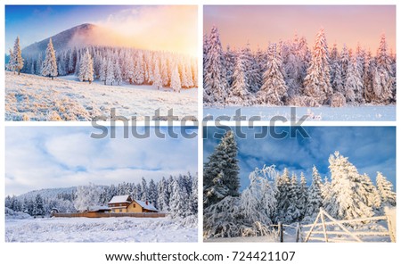 Collage of pictures, Winter landscape. Mountain village in the Ukrainian Carpathians.