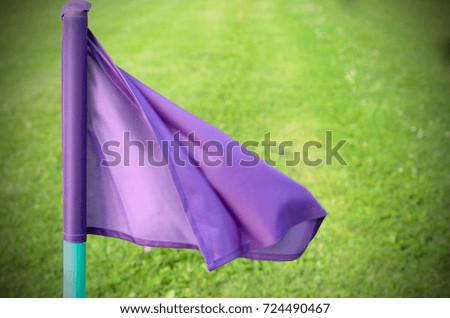 Lilac flags on the green grass of a football playing field