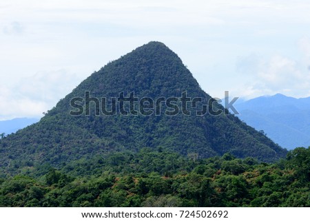 The peak of tropical evergreen forest moutain