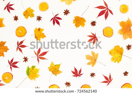 Autumn round composition of autumn maple leaves, dried orange and stars on white background. Flat lay, top view.