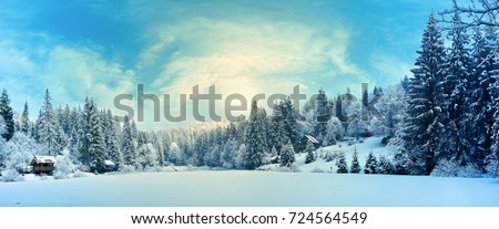 Winter forest in the Carpathians on Lake Vito Royalty-Free Stock Photo #724564549