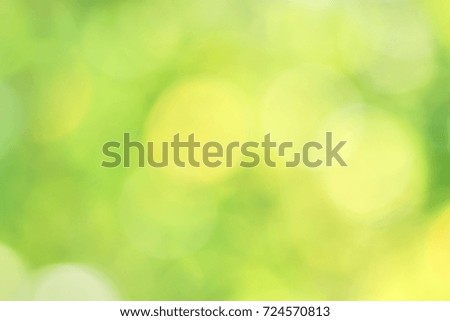 Green gentle blurred background and sunlight