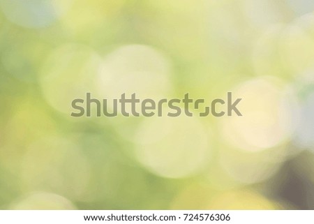Abstract nature green bokeh background. Blurred natural.