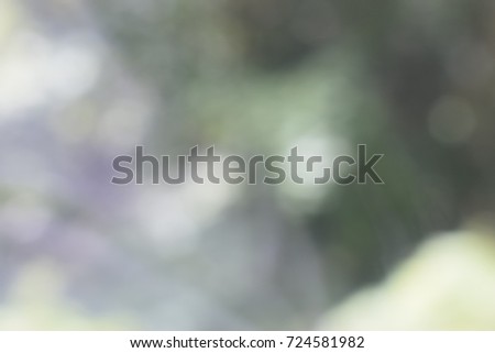 Abstract and Background In Nature