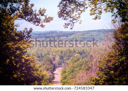 View through a heart shaped tree opening that shows road leading to forest.
