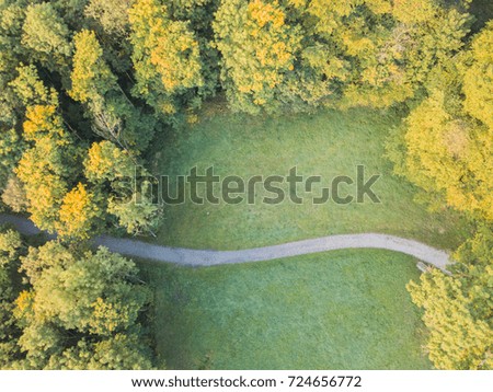 Aerial view of path between trees in morning light