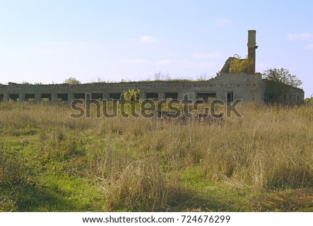 Golden wheat in the field with a shallow dof and blue sky. Industrial Old house with a smoke-stack . Farm road 