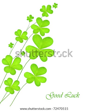 Green clover holiday border, st.Patrick's day decoration isolated on white background with text space
