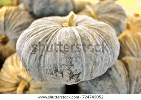 Close up of pumpkin on the basket at the market with warm light background