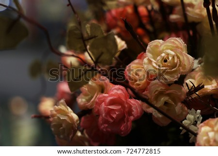 rose background,colorful roses