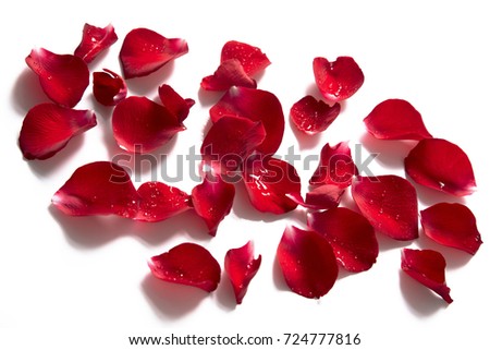 Rose petals Royalty-Free Stock Photo #724777816