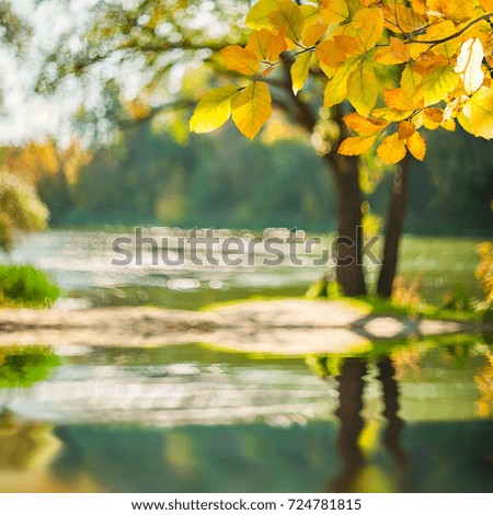 Nature autumn background with leaves, landscape with river on backdrop, fall art design