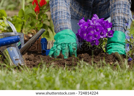 Planting flowers in the garden home 