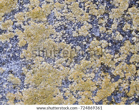 High resolution concrete wall - Stock Image