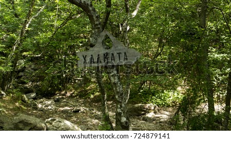 Close-Up Of Road Sign On Tree Trunk In Forest