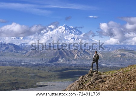 Denali (Mount McKinley) national park, Alaska, United States Royalty-Free Stock Photo #724911739