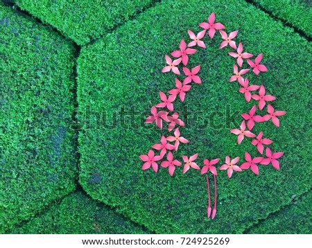 Christmas tree made from red spike flower on the green floor